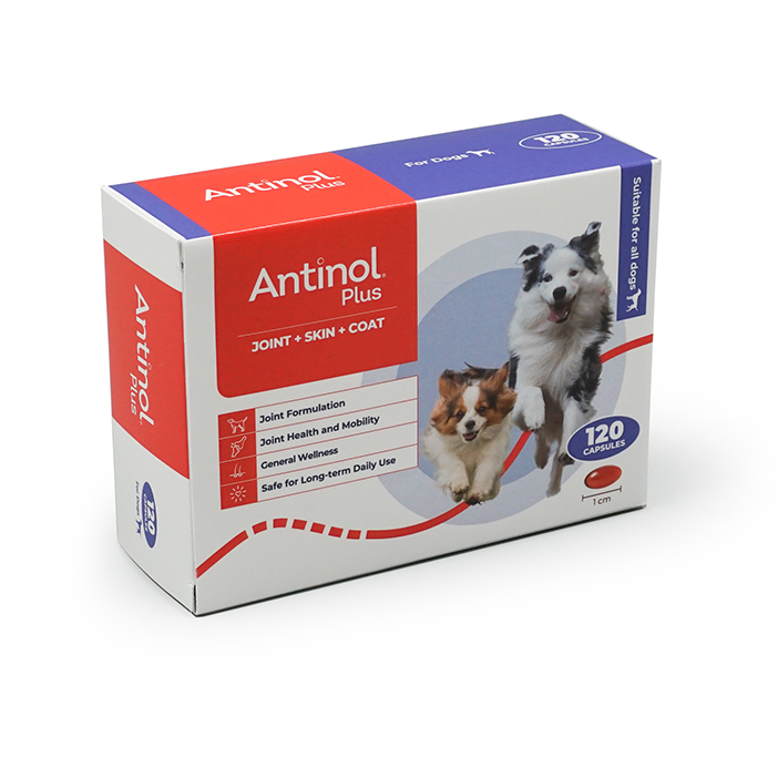 Antinol Plus joint skin coat 120 capsules