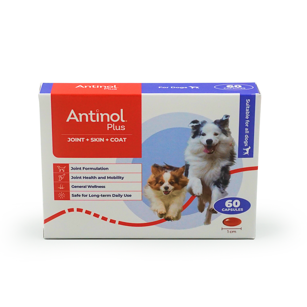 Antinol Plus joint skin coat 60 capsules