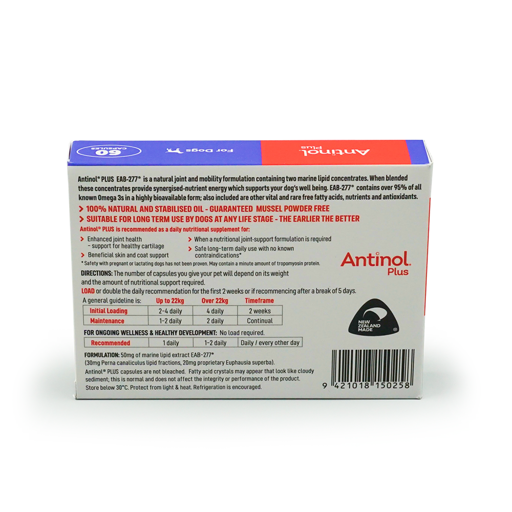 Antinol Plus joint skin coat 60 capsules